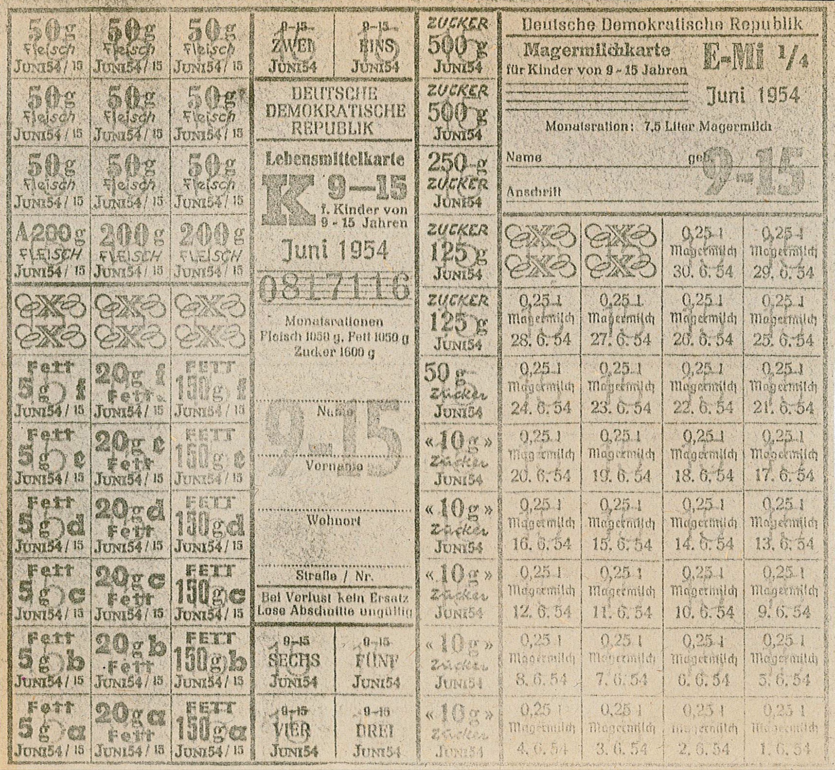 Lebensmittelkarte für Kinder von 9 bis 15 Jahren: Monatsrationen Fleisch, Fett, Magermilch und Zucker (1954) (Museum Wolmirstedt RR-F)