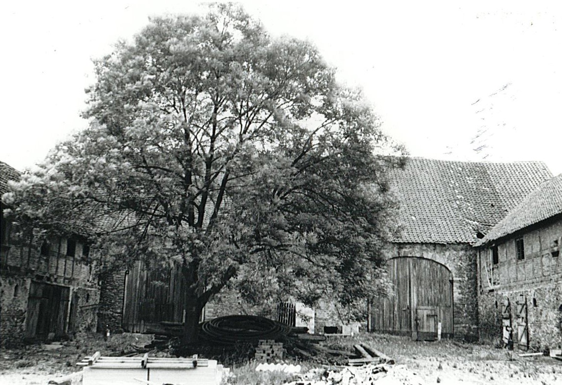 Bördehof, Dahlenswarsleben (1983) [22] (Museum Wolmirstedt RR-F)