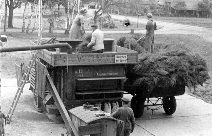 Arbeiter geben das Getreide in eine mobile Dreschmaschine (Haus der Geschichte Wittenberg RR-F)