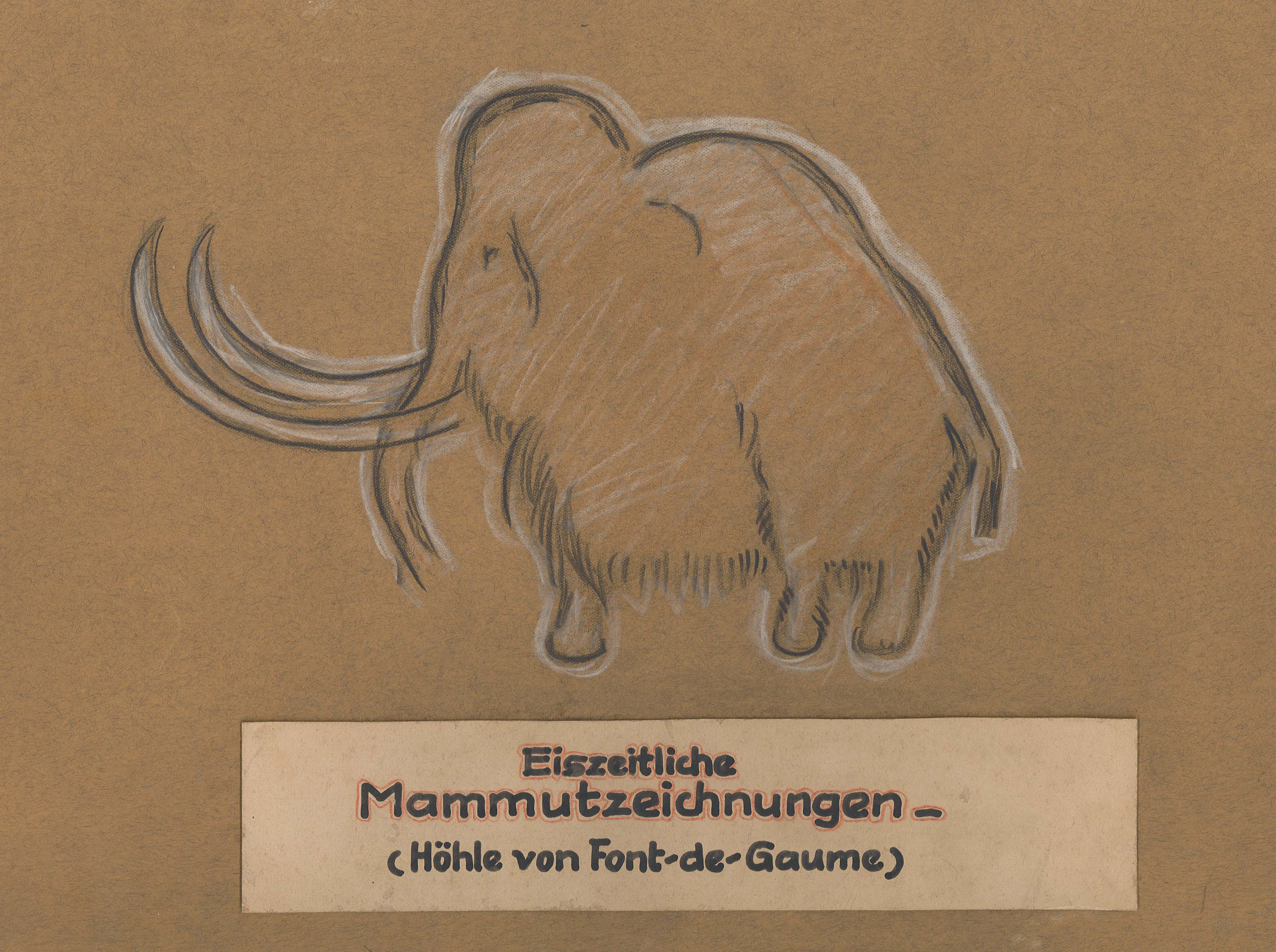 Eiszeitliche Mammutzeichnungn (Höhle von Font-de-Gaume) (Museum Wolmirstedt RR-F)