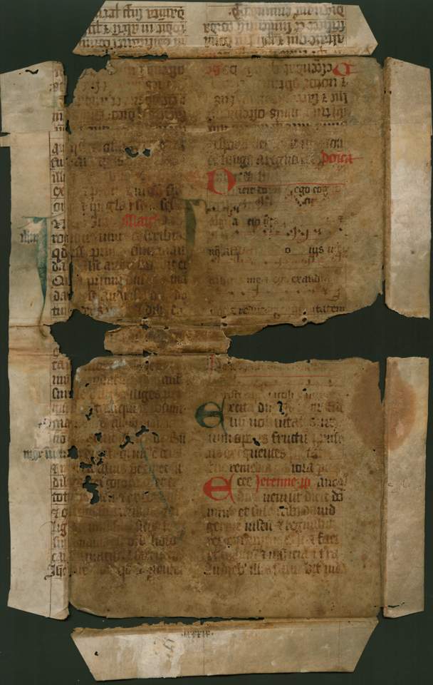 Mittelalterliche Pergamenthandschrift (Seite aus einem Perikopenbuch?) (Stiftung Händel-Haus CC BY-NC-SA)
