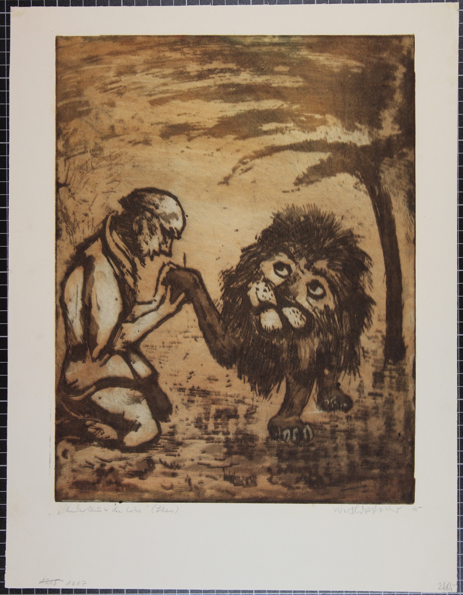 „Androklus u. der Löwe“ (Shaw) (Winckelmann-Museum CC BY-NC-SA)