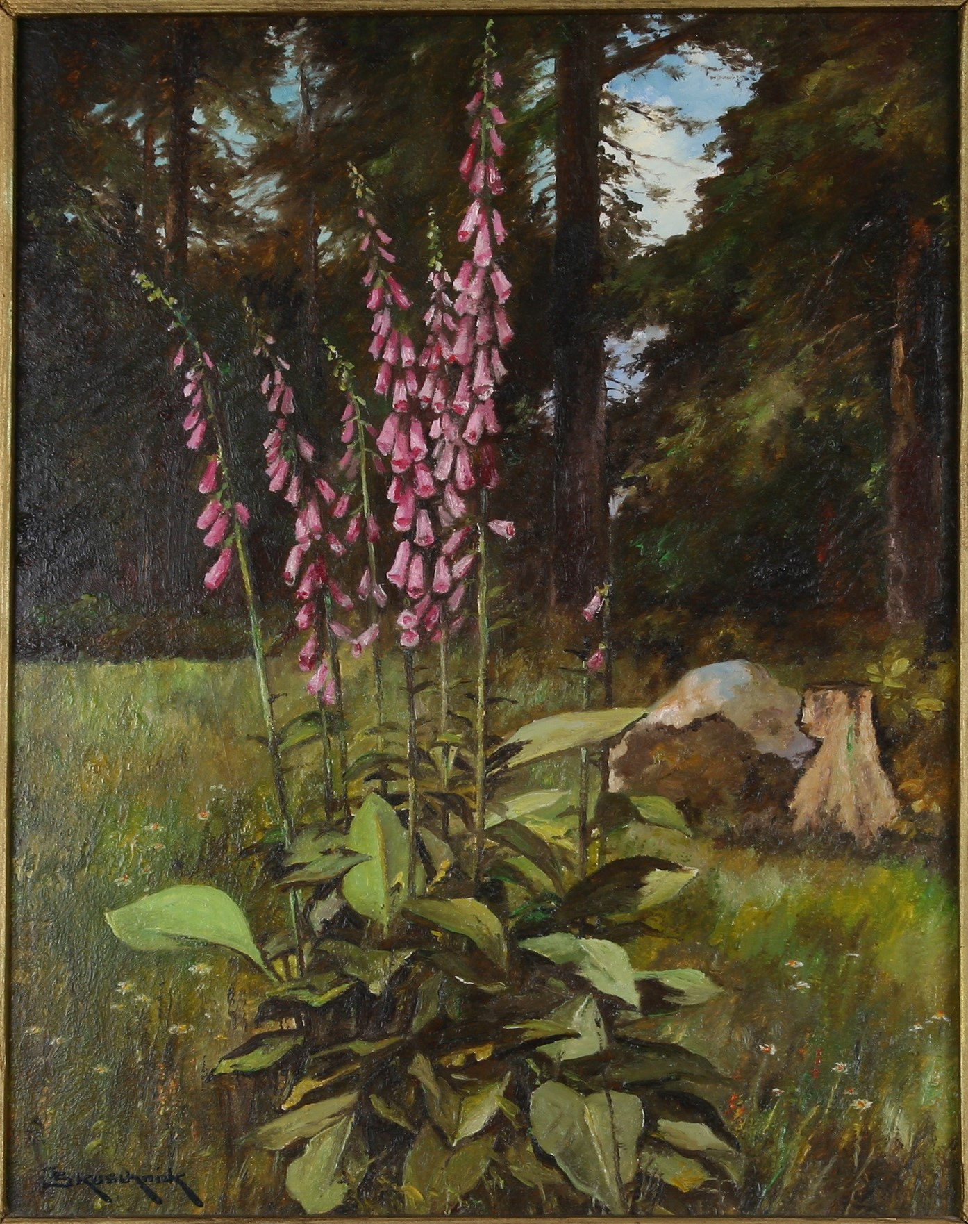 Fingerhut - Pflanzenportrait (Harzmuseum Wernigerode CC BY-NC-SA)