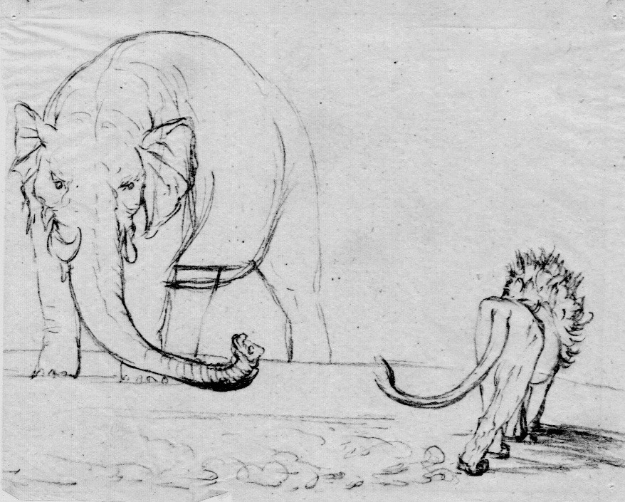 Ein Löwe und ein Elefant umschleichen sich gegenseitig (Schloß Wernigerode GmbH RR-F)