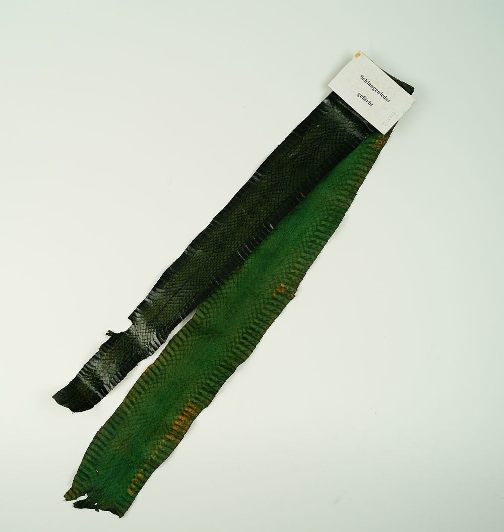 Schlangenleder, grün gefärbt (Museum Weißenfels CC BY-NC-SA)