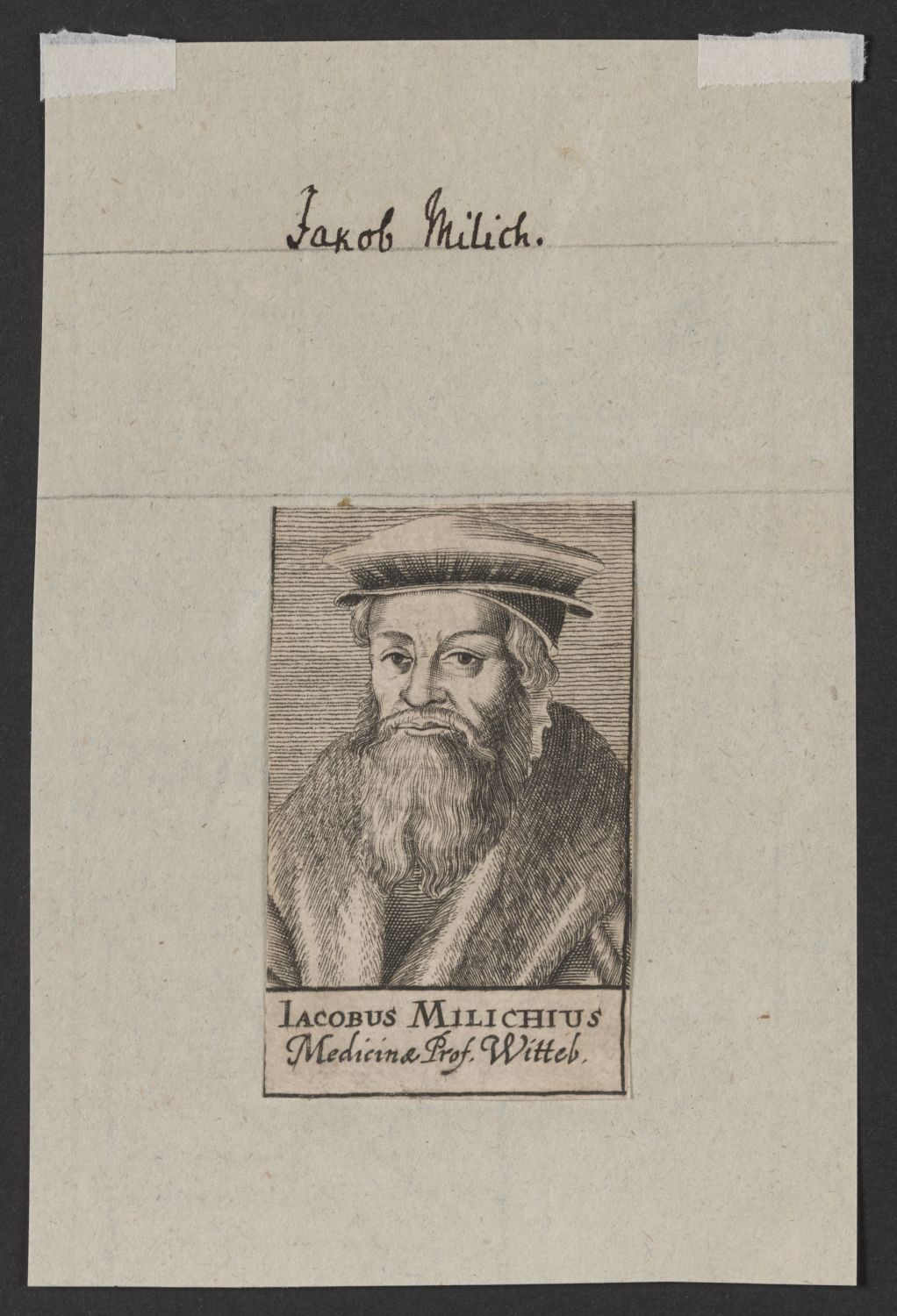 Porträt Jakob Milich (1501-1559) (Stiftung Händelhaus, Halle CC BY-NC-SA)