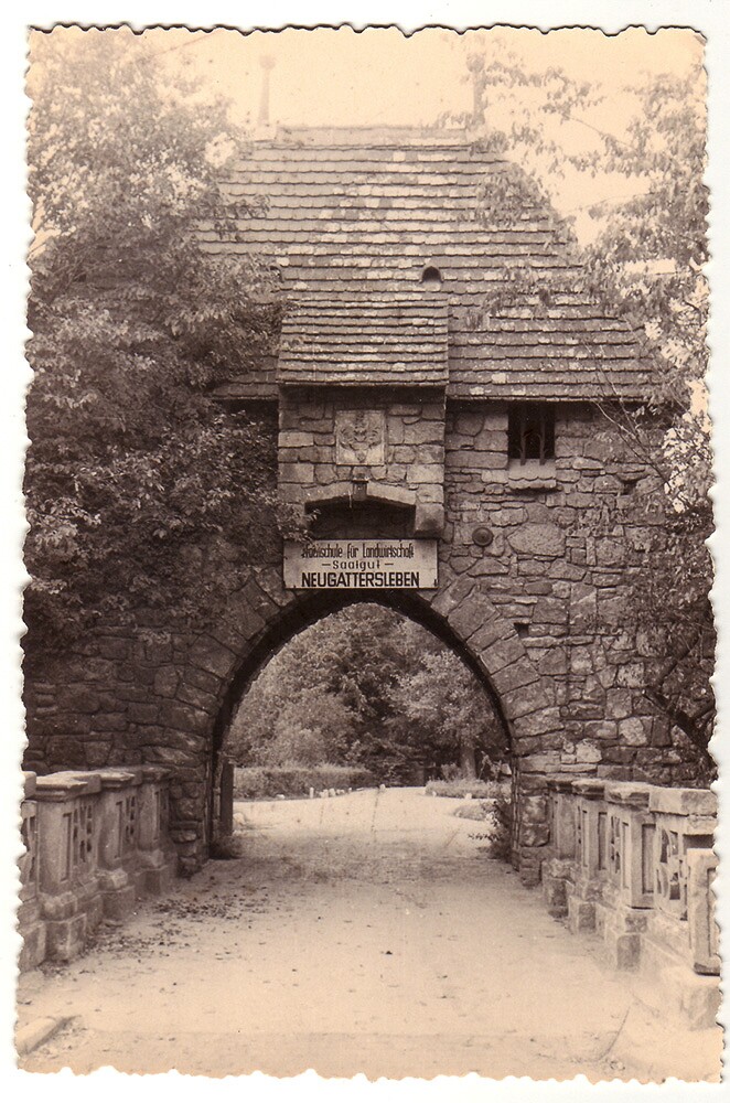 Schloss Neugattersleben, Blick auf Brückentorbogen (Museum Schloss Bernburg / Deutsche Stiftung Denkmalschutz CC BY-NC-SA)
