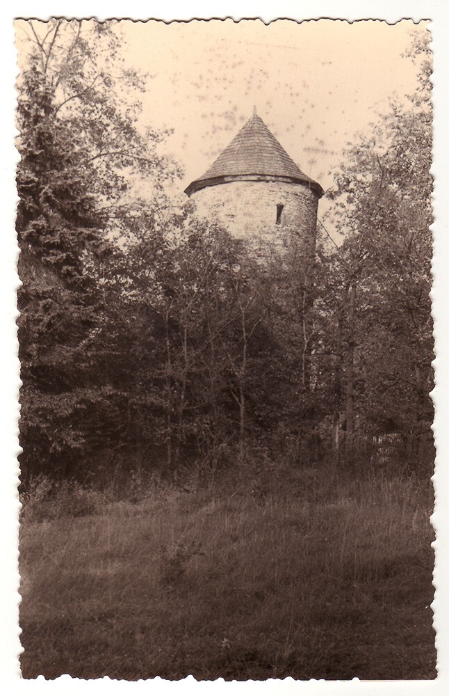 Schloss Neugattersleben, Blick auf Turm (Museum Schloss Bernburg / Deutsche Stiftung Denkmalschutz CC BY-NC-SA)