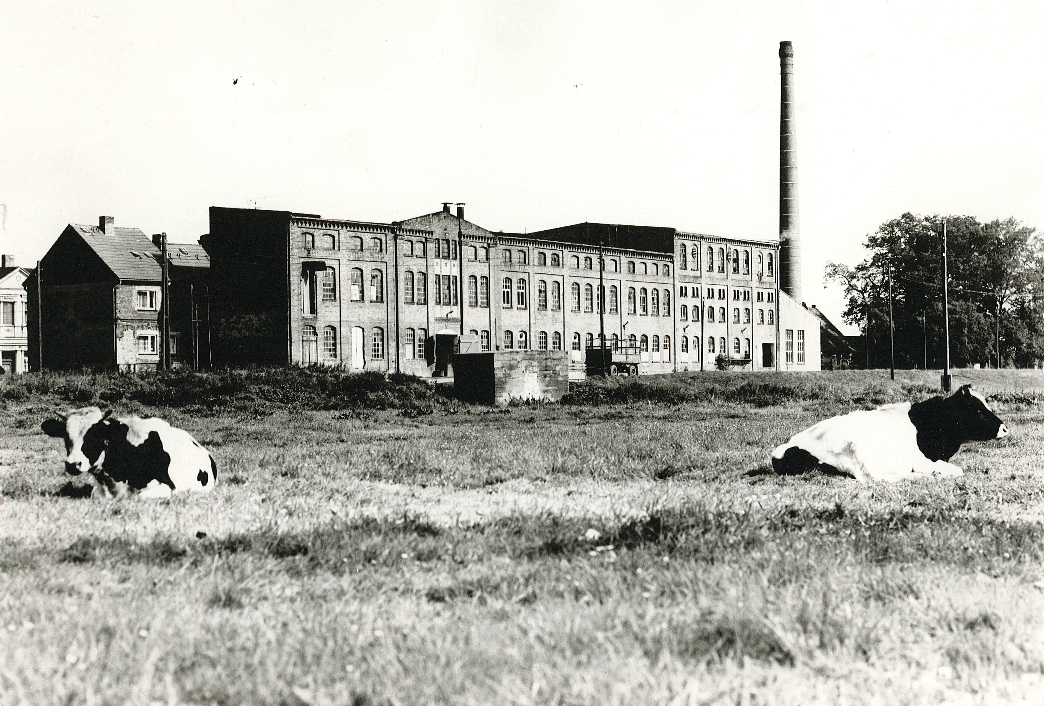 Lederfabrik Lindekugel, um 1975 (Wolmirstedt) (Museum Wolmirstedt RR-F)