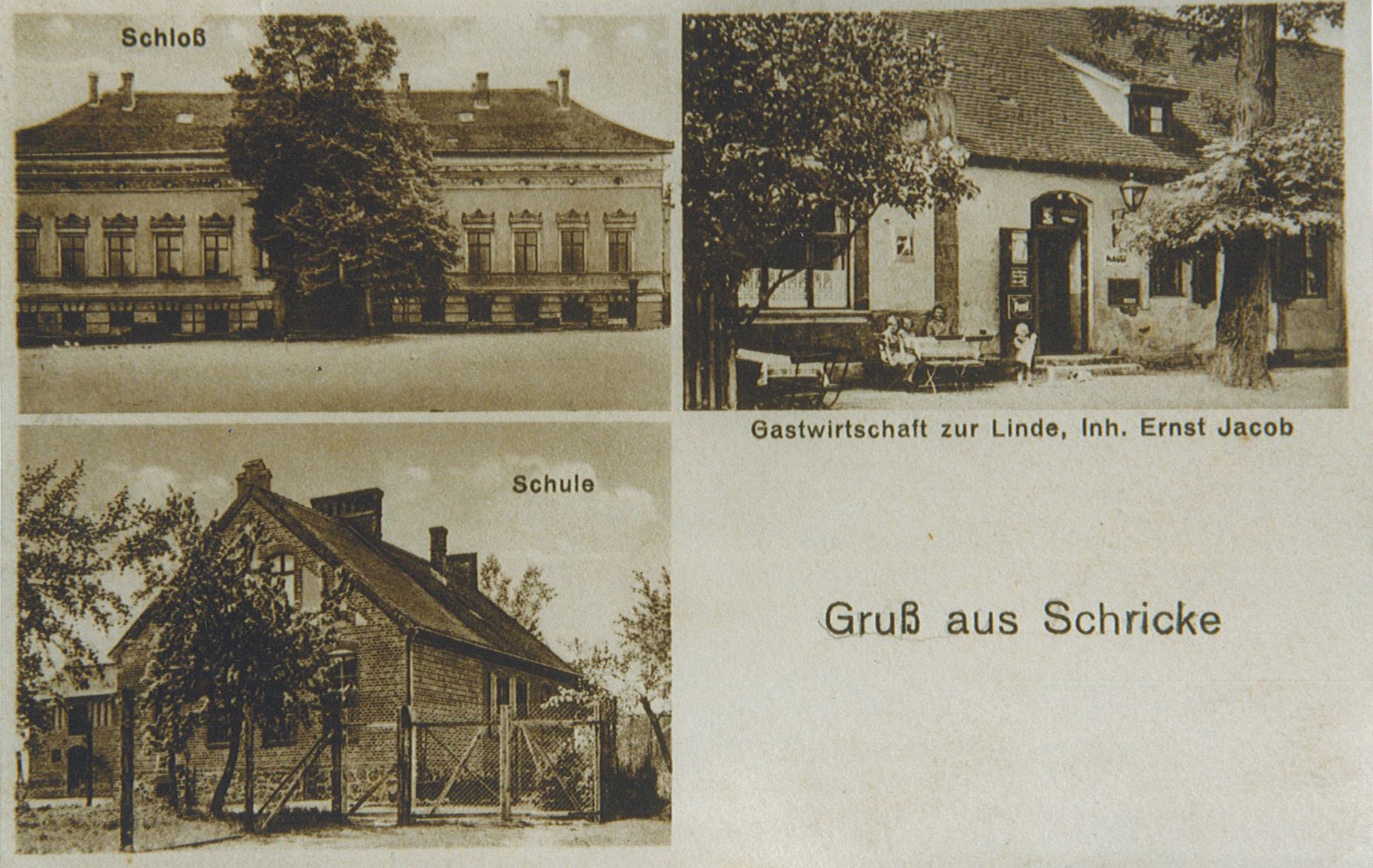 Ansichten von Schricke (Schloss, Schule, Gastwirtschaft) (Museum Wolmirstedt RR-F)