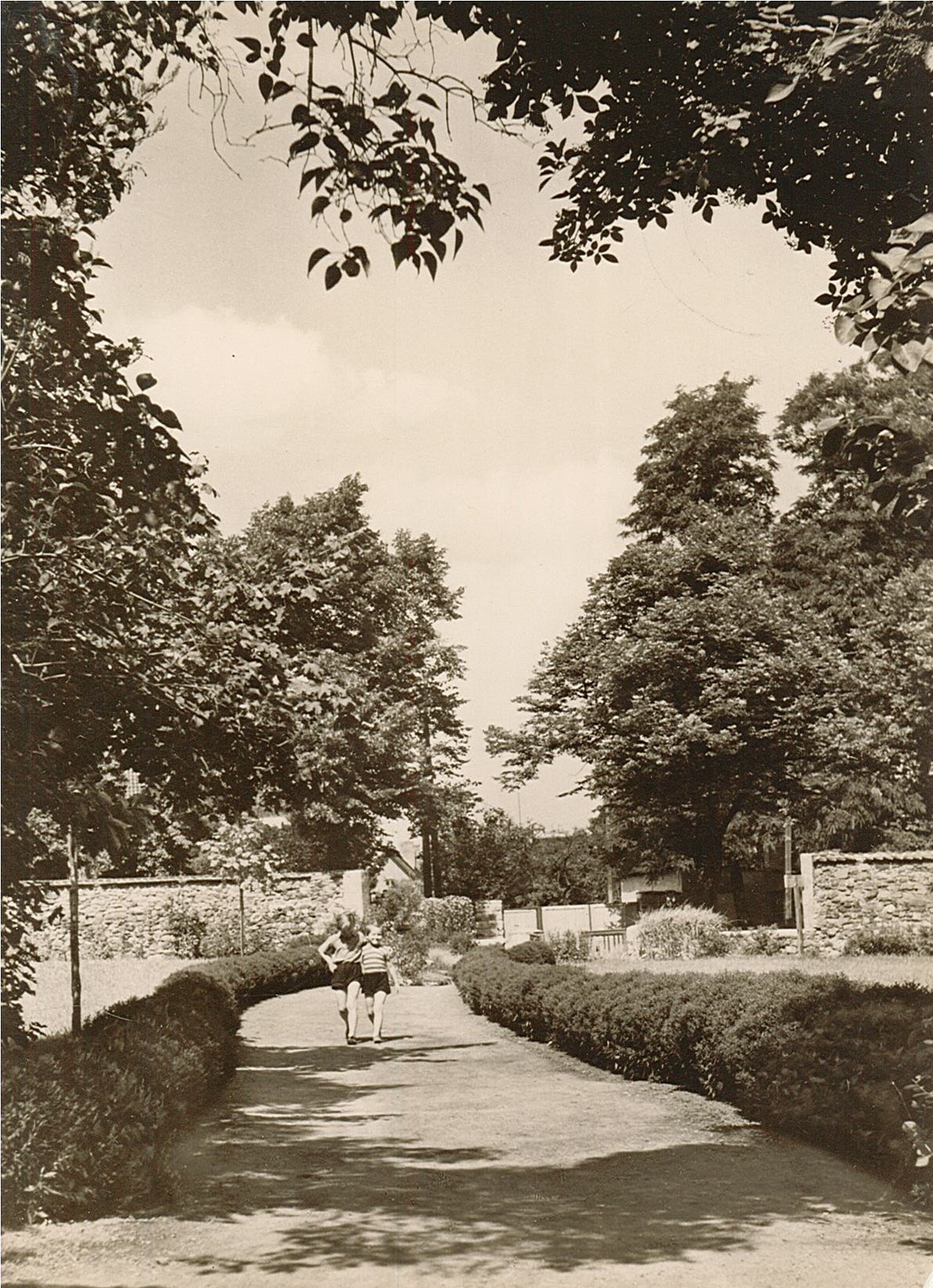 Postkarte: "Eingang zum Stadtpark, Wolmirstedt" (1965) (Museum Wolmirstedt RR-F)
