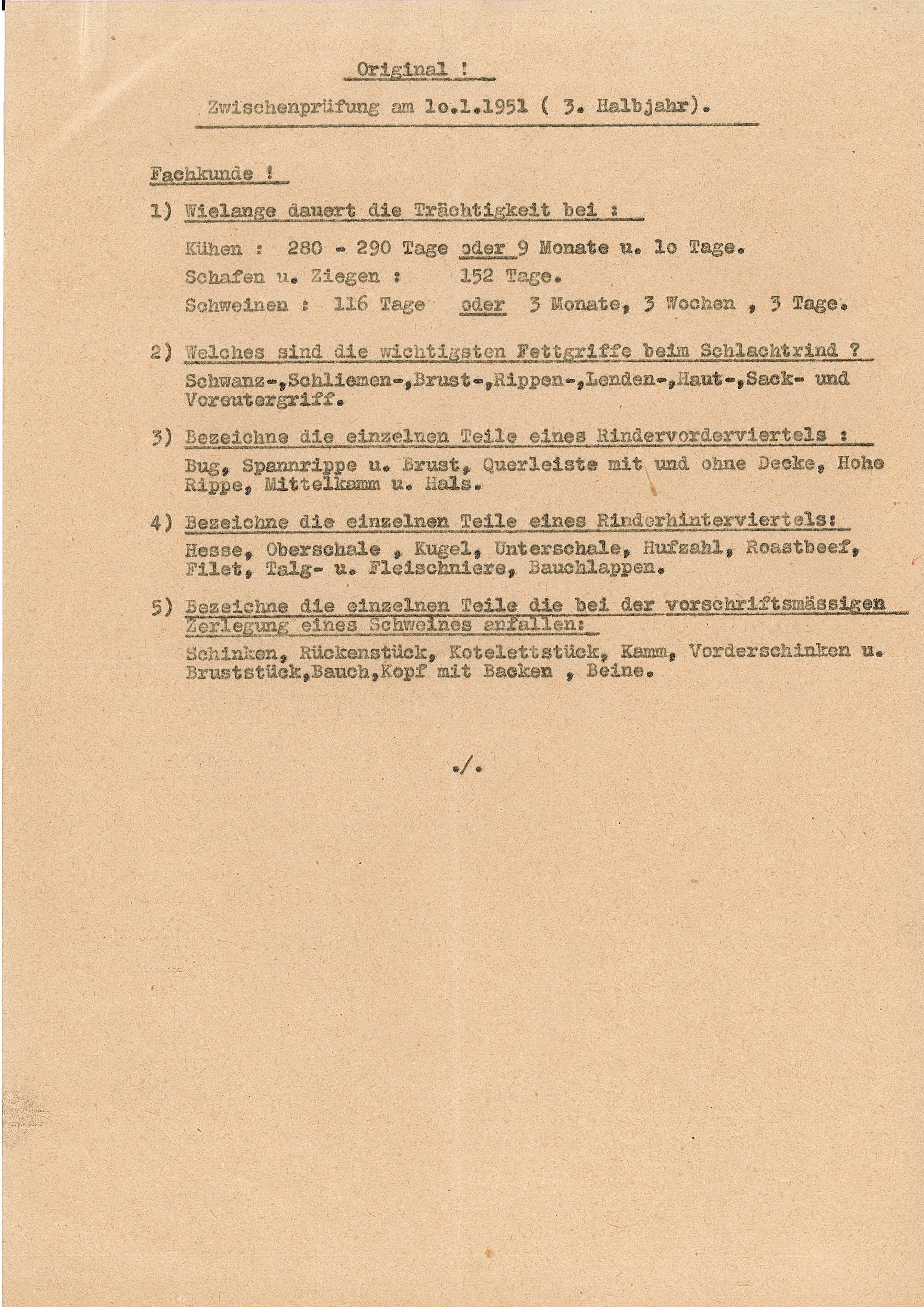 Fragen Zwischenprüfung 1. Halbjahr Ausbildung zum Fleischer, 1951 (Museum Wolmirstedt RR-F)