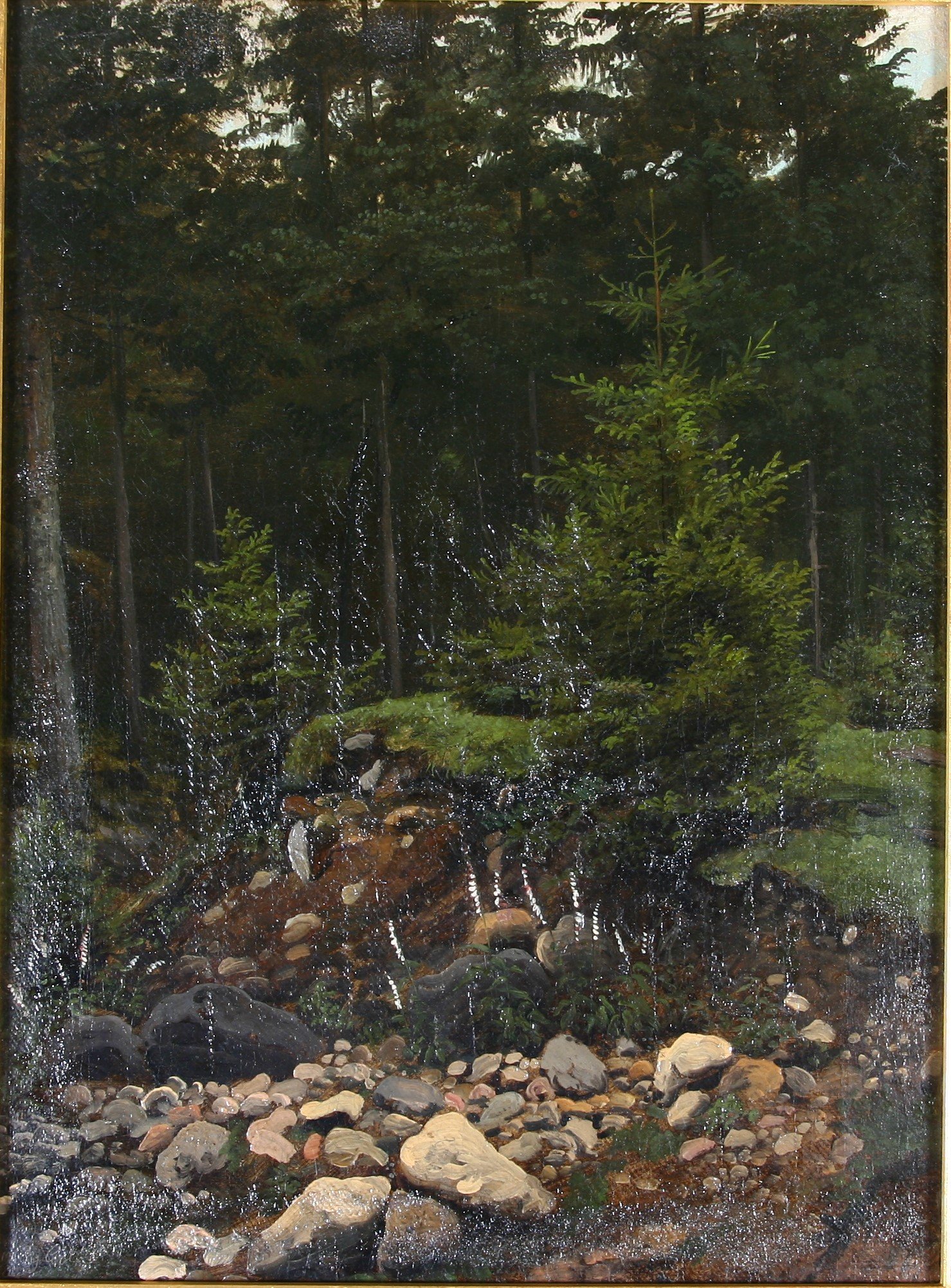 Waldstück mit Steinen (Harzmuseum Wernigerode CC BY-NC-SA)
