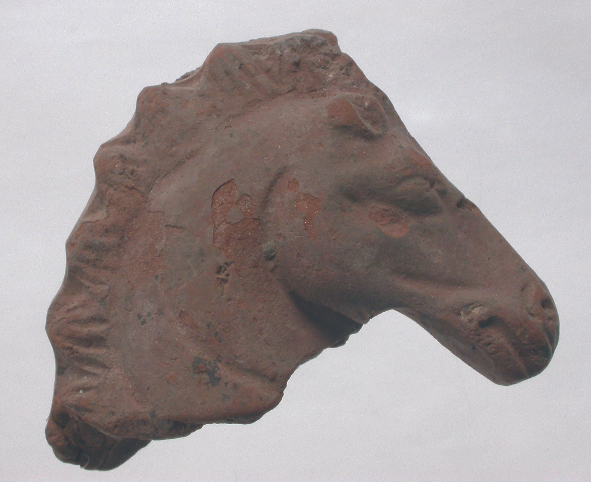 Kopf eines Pferdes (Winckelmann-Museum Stendal CC BY-NC-SA)