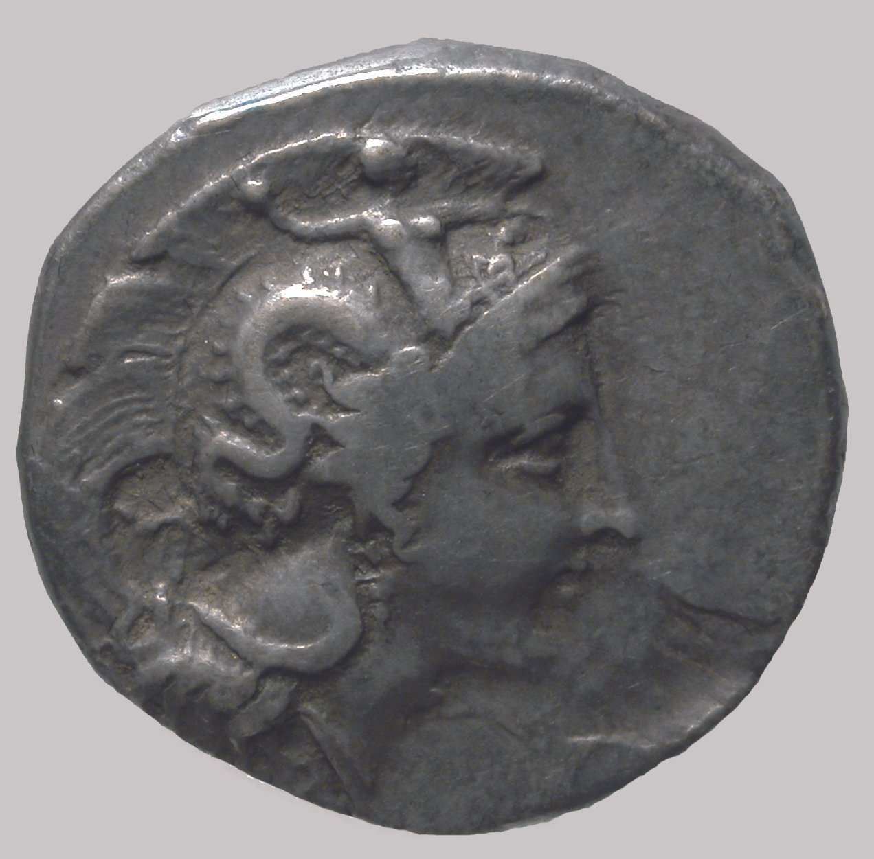 Stater, VS: Kopf der Athena mit att. Helm; RS: Stier (Winckelmann-Museum Stendal CC BY-NC-SA)