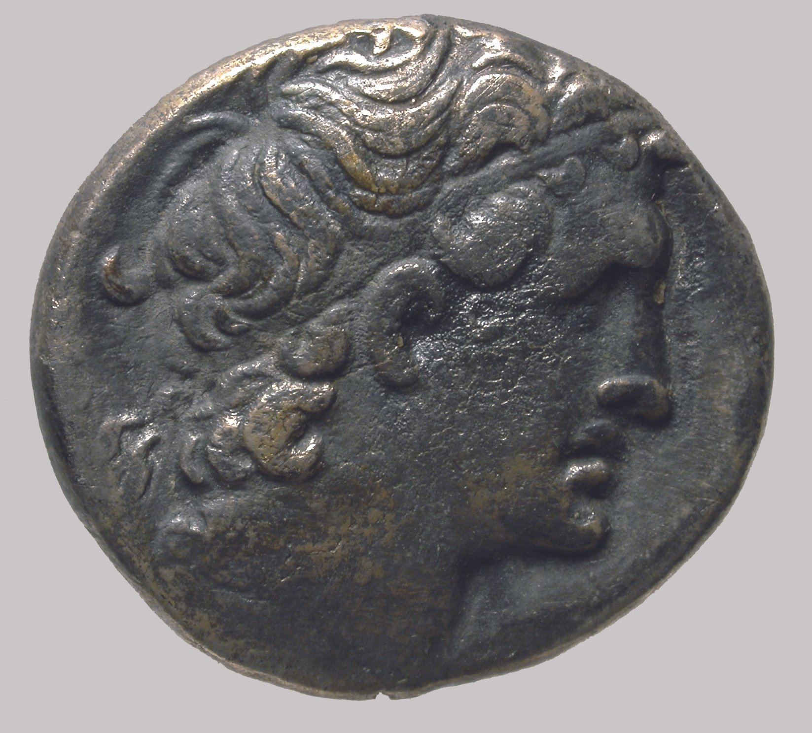 Tetradrachmon, VS: Kopf des Ptolemaios; RS: Adler und Palmzweig auf Blitzbündel (Winckelmann-Museum Stendal CC BY-NC-SA)