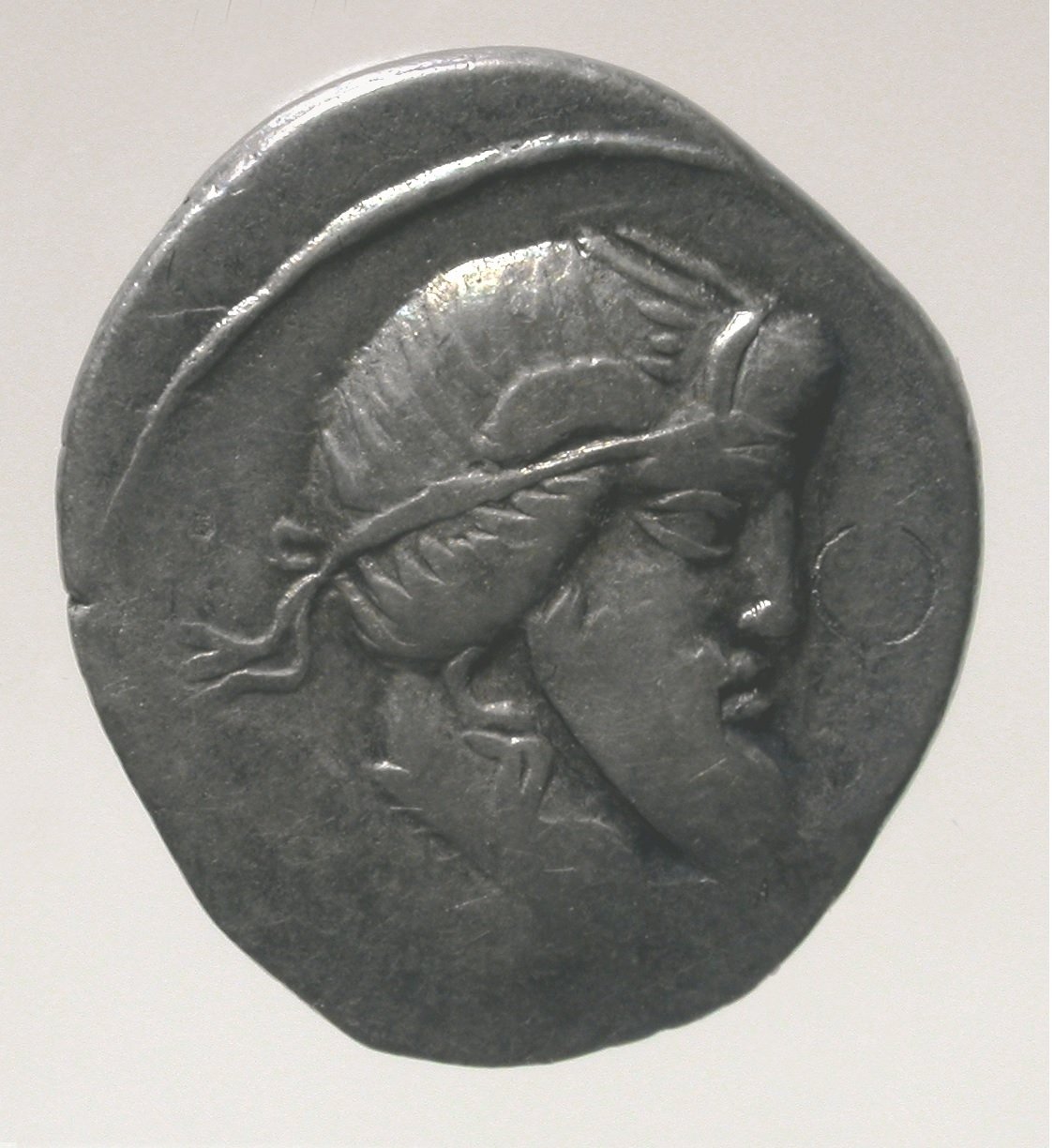 Denar, VS: Kopf des Mutinus Tibinus; RS: Pegasos (Winckelmann-Museum Stendal CC BY-NC-SA)