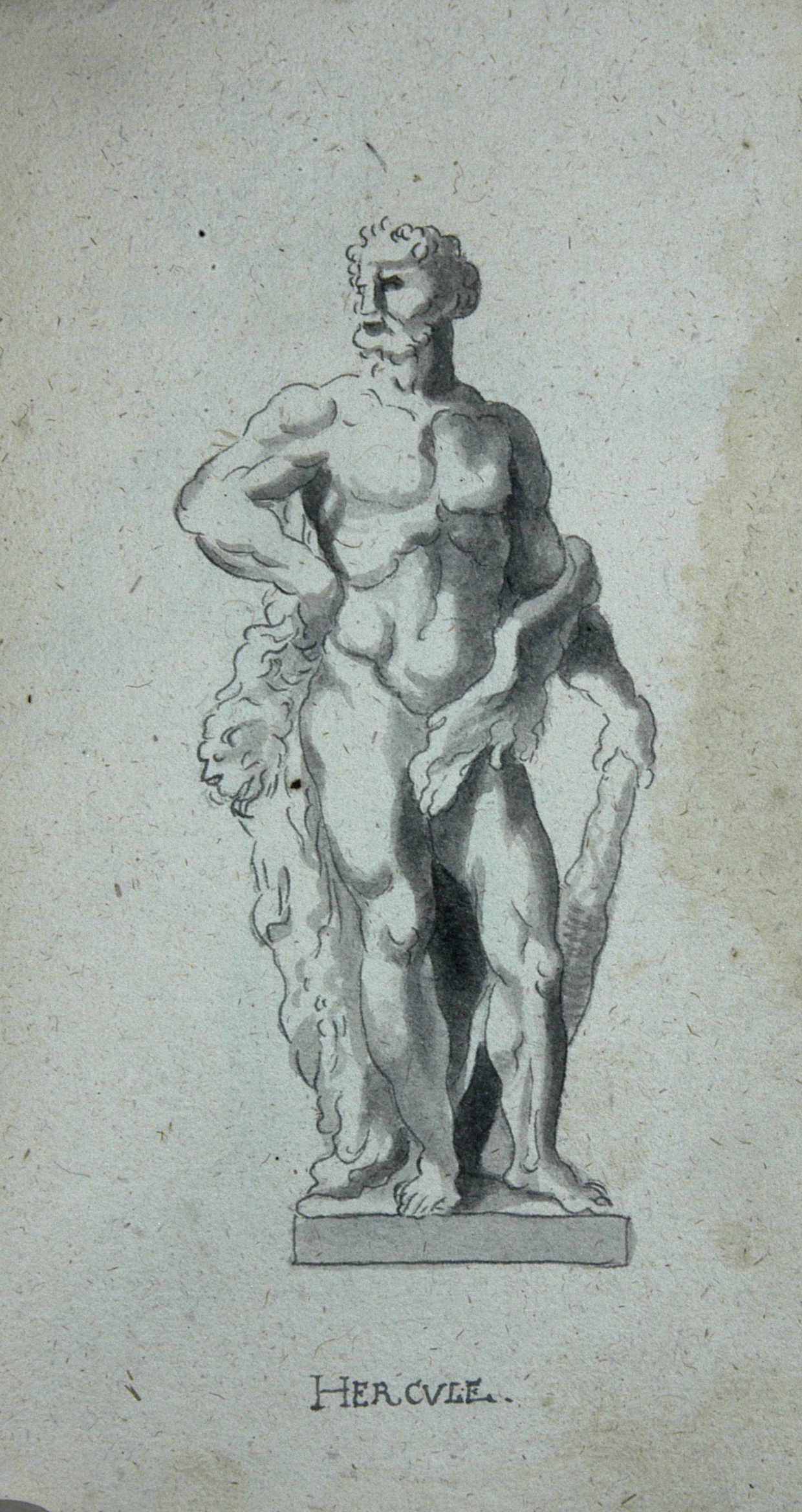Hercule (Winckelmann-Museum Stendal CC BY-NC-SA)