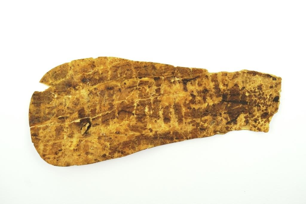 Fragment einer Sohle, römisch (?) (Museum Weißenfels CC BY-NC-SA)