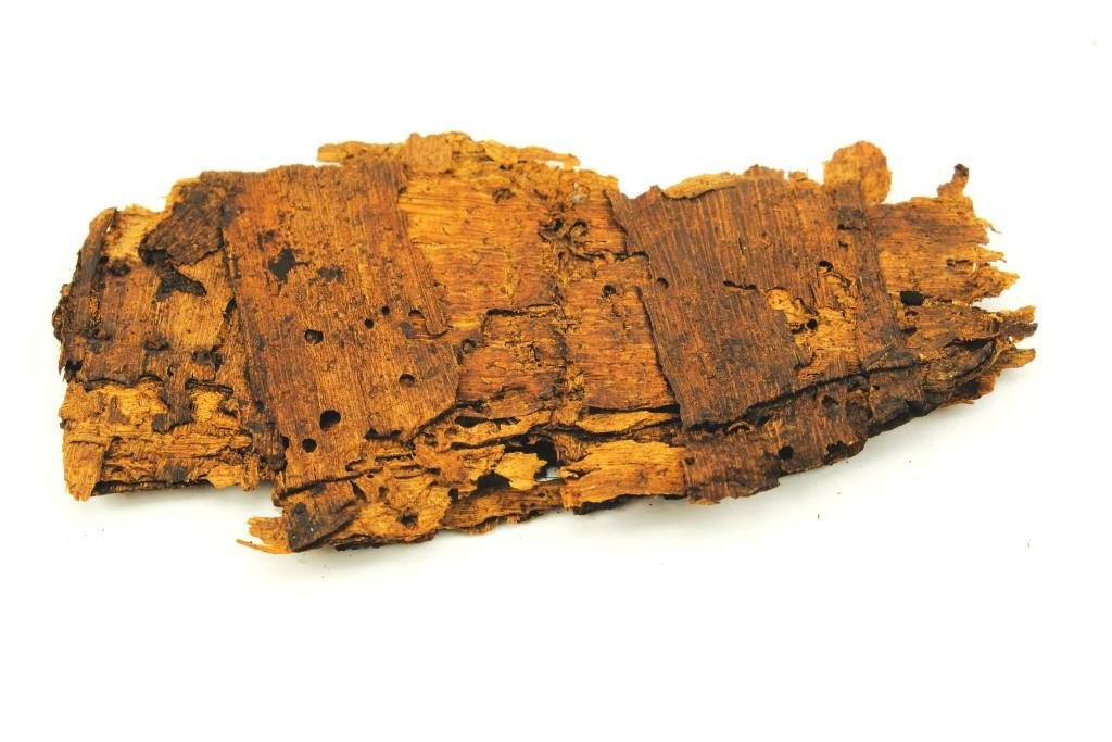Fragmente einer Korksohle, Bodensee (Museum Weißenfels CC BY-NC-SA)