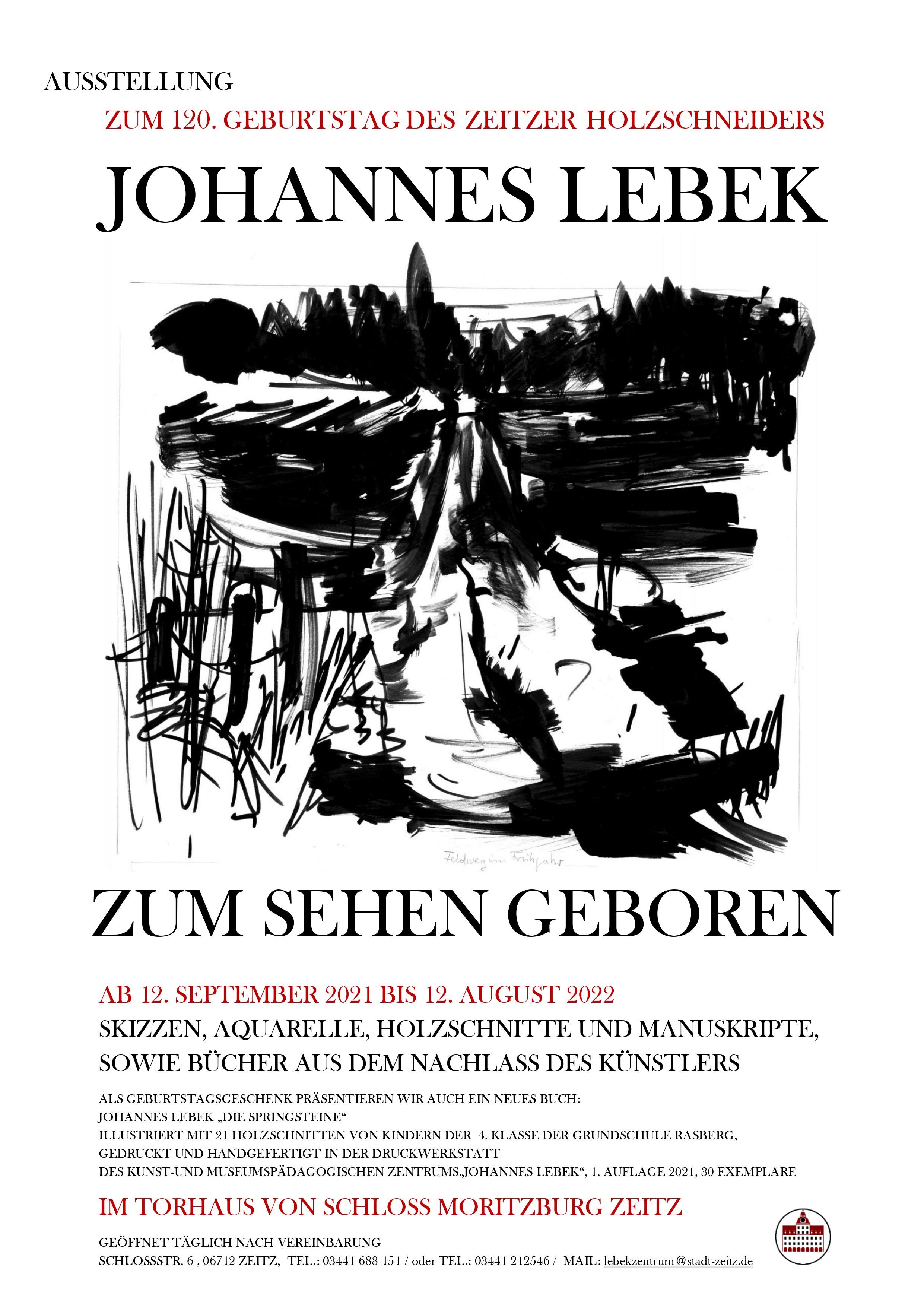 Ausstellungsplakat "Johannes Lebek. Zum Sehen Geboren" (Museum Schloss Moritzburg Zeitz RR-R)
