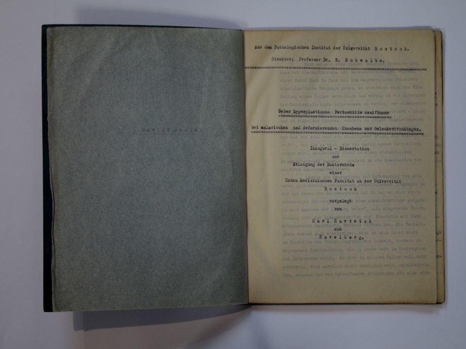 Carl Hartwig: Dissertation Rostock 1920 (Prignitz-Museum CC BY-NC-SA)