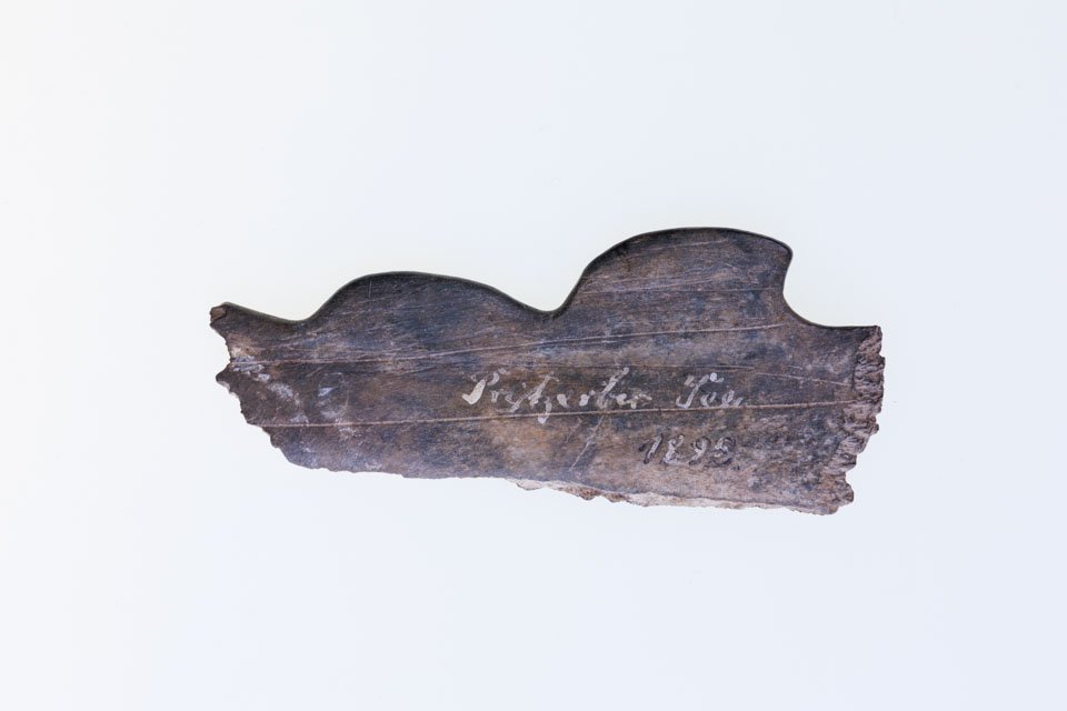 Knochenbruchstück mit gezackten Rand (Kreismuseum Jerichower Land, Genthin CC BY-NC-SA)