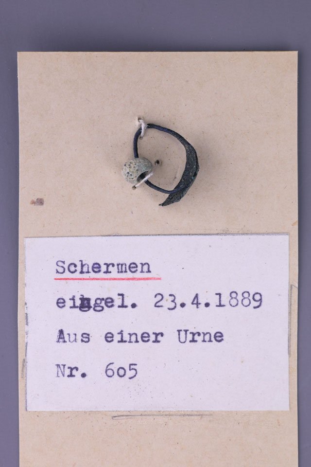 Segelohrring mit blauer Glasperle (Kreismuseum Jerichower Land, Genthin CC BY-NC-SA)