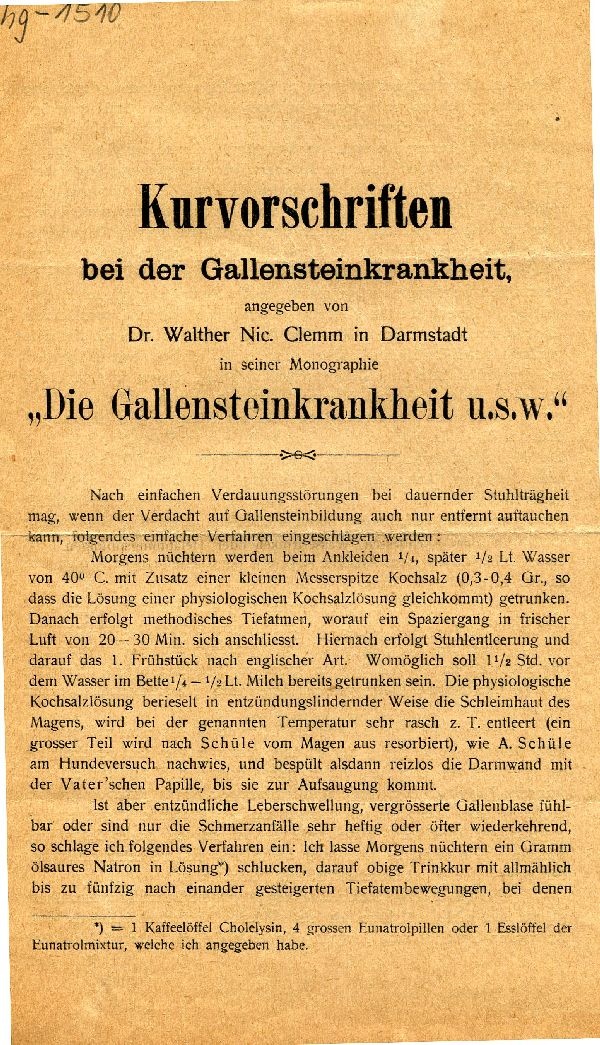 Gedrucktes Blatt "Kurzvorschriften bei der Gallensteinkrankheit... (Schloß Wernigerode GmbH RR-F)