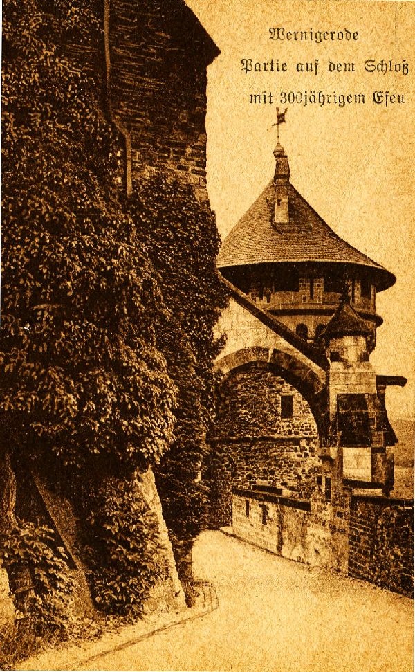 Postkarte: Wernigerode, Partie auf dem Schloß mit 300jährigem Efeu (Schloß Wernigerode GmbH RR-F)