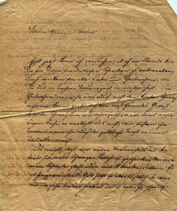 Brief des Grafen Hermann zu Stolberg-Wernigerode an Cousine (Schloß Wernigerode GmbH RR-F)