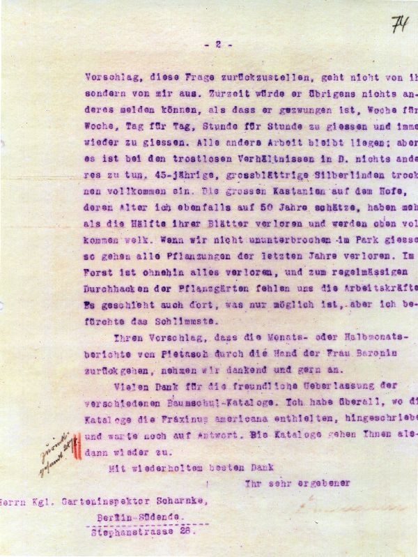 Fotokopie: Brief 30. Juni 1917, Dr. Eberhard von Bodenhausen an Garteninspektor Schamke in ... (Schloß Wernigerode GmbH RR-F)
