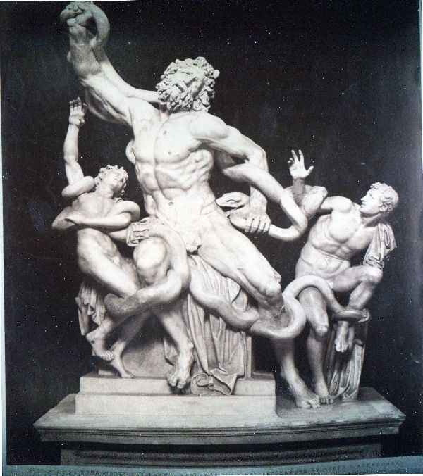 Fotografie: Roma-Museo Vaticano , Laocoonte coi tigli (Acisandro Polidoro e Atenodoro) (Schloß Wernigerode GmbH RR-F)