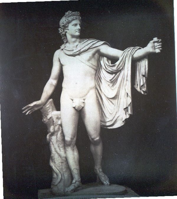 Fotografie: Roma- Museo Vaticano Apollo detto di Belvedere (Acultura Antica) (Schloß Wernigerode GmbH RR-F)