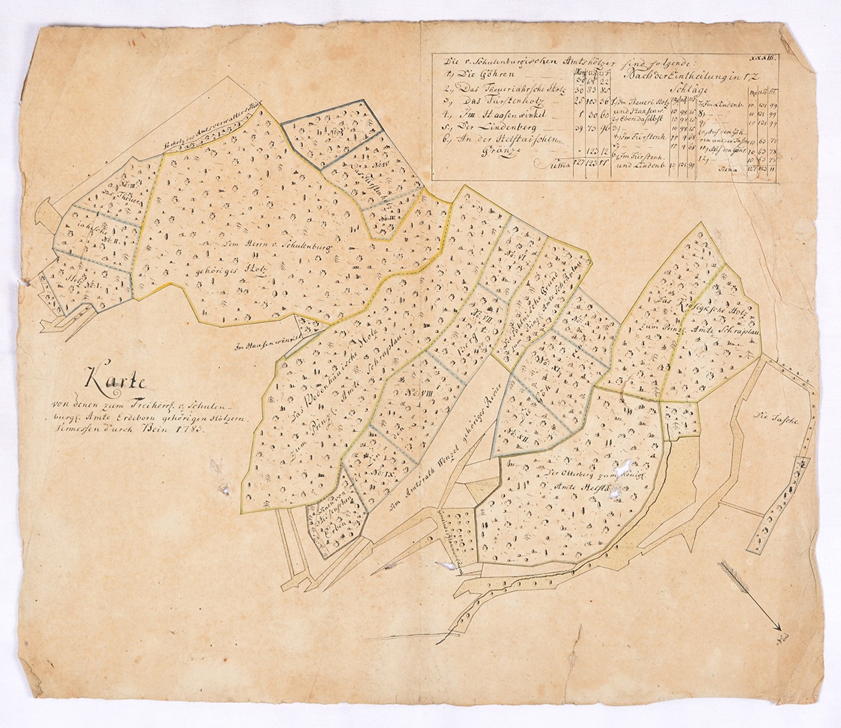 Karte von denen zum Freiherr. v. Schulenburg. Amte Erdeborn gehörigen Hölzern. Vermessen durch Bein 1783. (Mansfeld-Museum im Humboldt-Schloss CC BY-NC-SA)