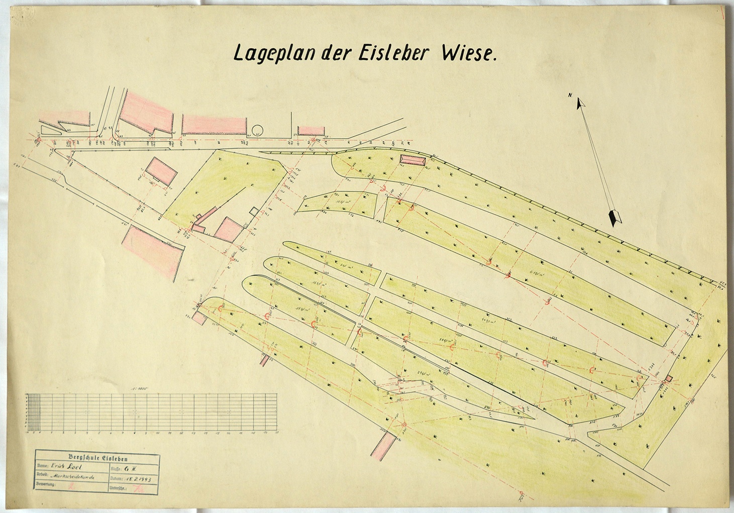 Lageplan der Eisleber Wiese (Mansfeld-Museum im Humboldt-Schloss CC BY-NC-SA)