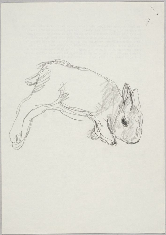 ohne Titel [Kaninchen, 1] (VG Bild-Kunst Bonn 2019 RR-F)