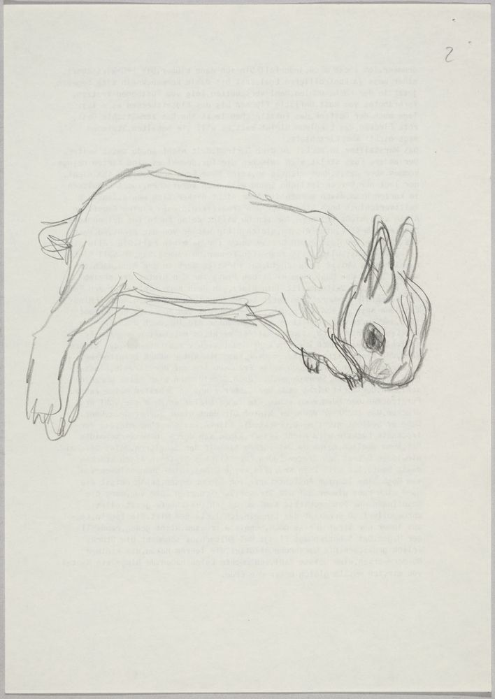 ohne Titel [Kaninchen, 2] (VG Bild-Kunst Bonn 2019 RR-F)