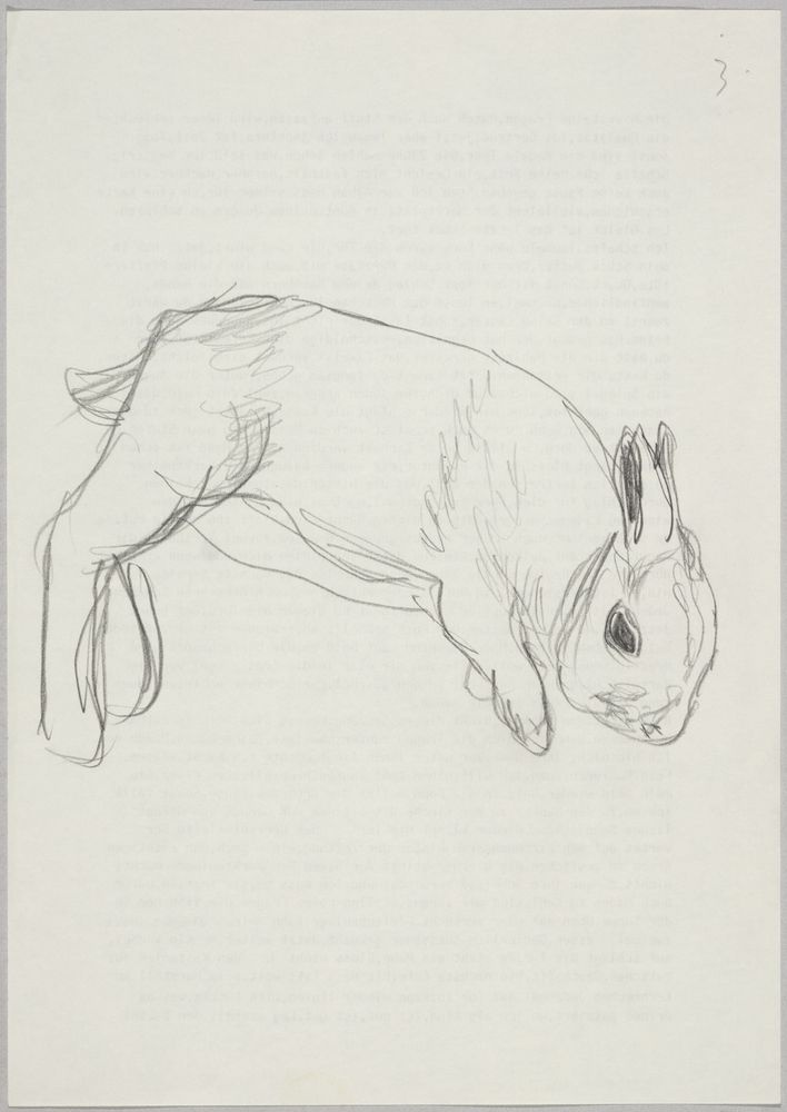 ohne Titel [Kaninchen, 3] (VG Bild-Kunst Bonn 2019 RR-F)