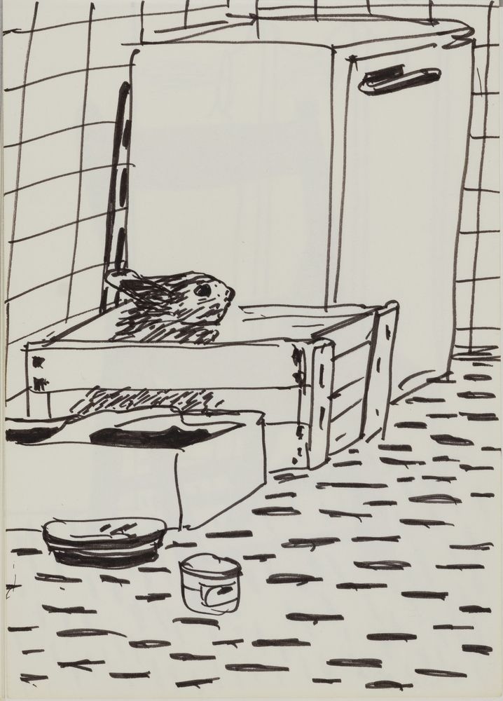 ohne Titel [Studie aus Skizzenbuch 4: Kaninchen in der Küche] (VG Bild-Kunst Bonn 2019 RR-F)