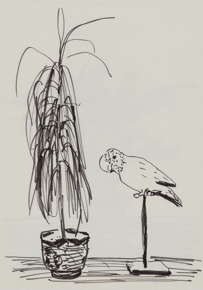 ohne Titel [Studie aus Skizzenbuch 4: Palme mit Papagei] (VG Bild-Kunst Bonn 2019 RR-F)