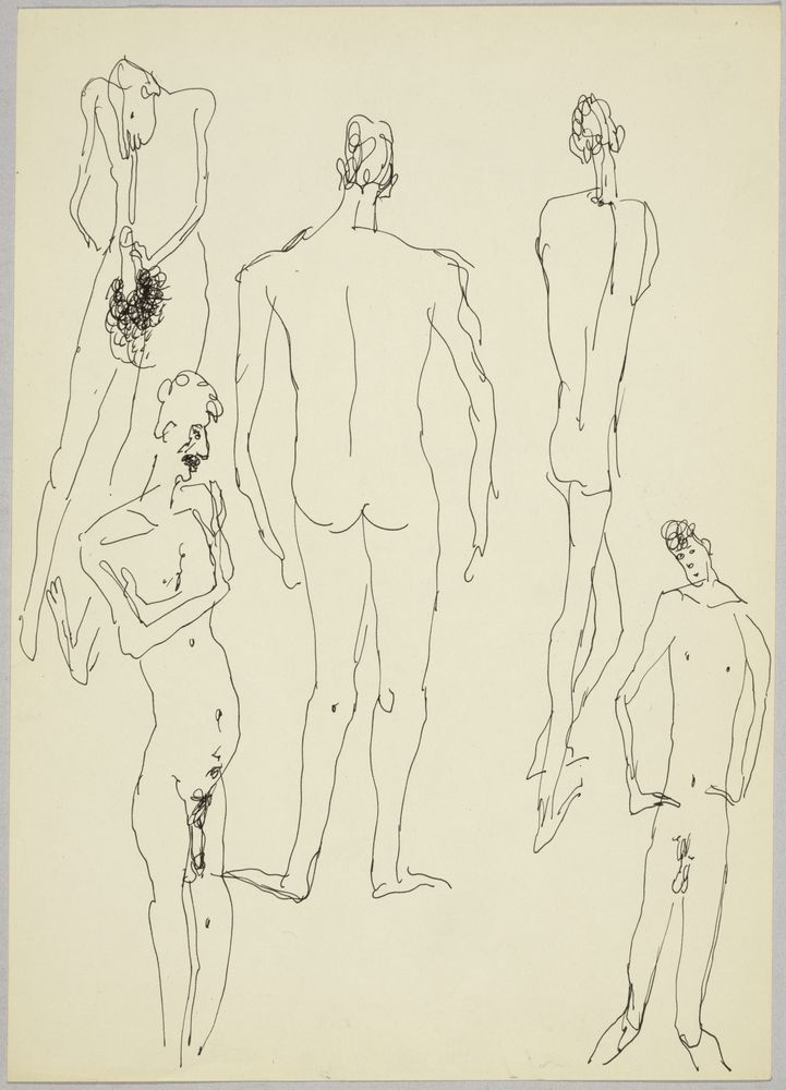 ohne Titel [Illustrative Studie - Pisa, männliches Geschlechter] (VG Bild-Kunst Bonn 2019 RR-F)