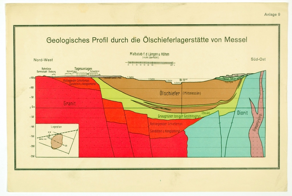 Geologisches Profil durch die Ölschieferlagerstätte von Messel (Kulturhistorisches Museum Schloss Merseburg CC BY-NC-SA)