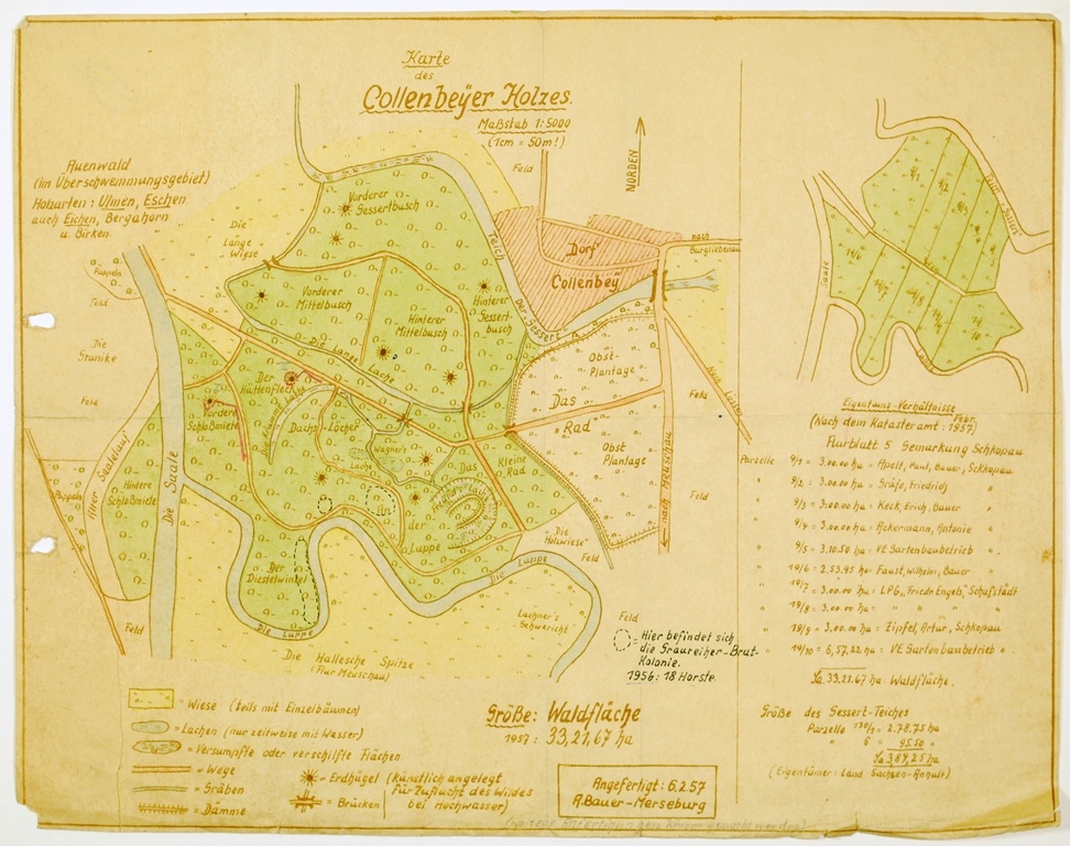 Karte des Collenbeyer Holzes (Kulturhistorisches Museum Schloss Merseburg CC BY-NC-SA)