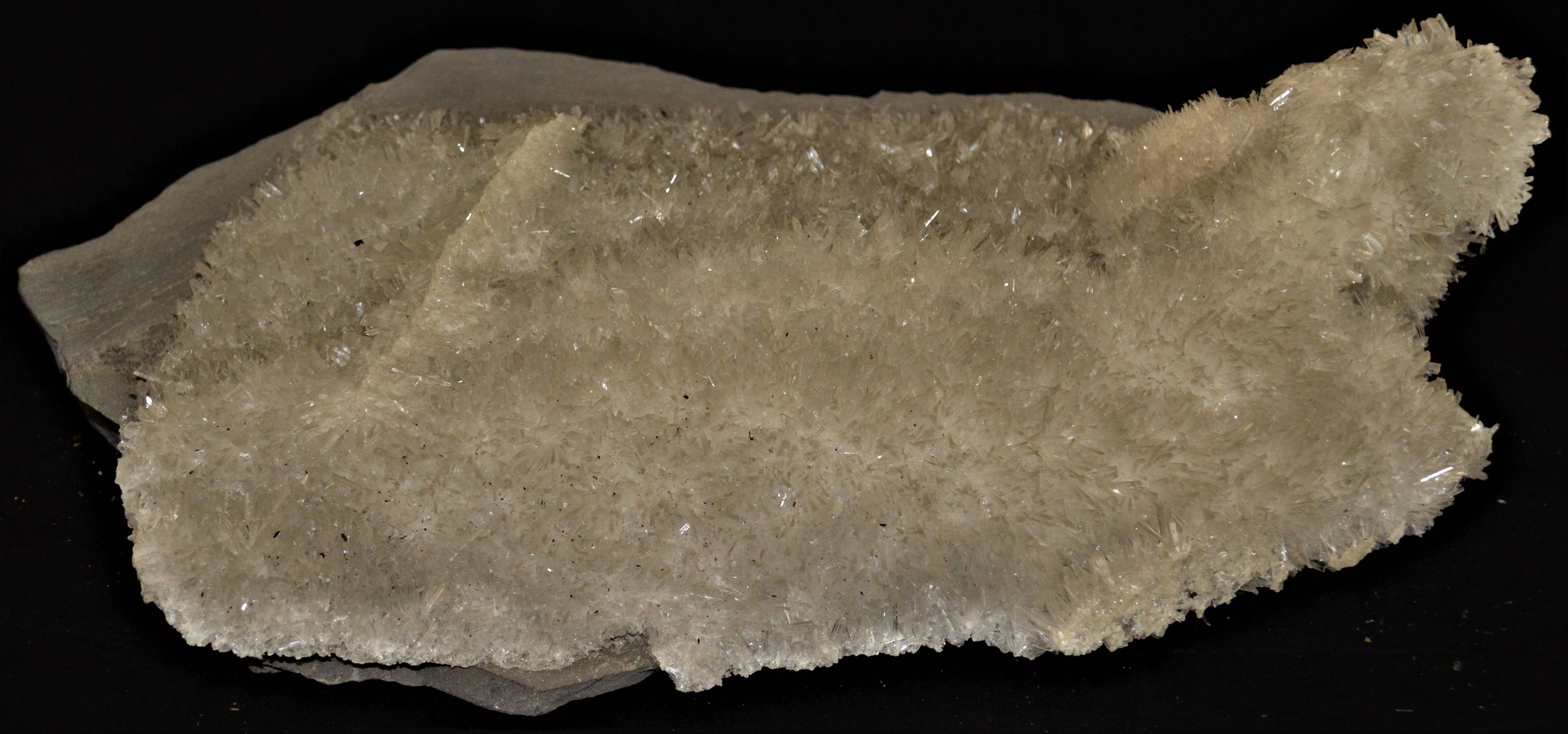 Weiße Gipskristalle (Sangerhausen) (Erlebniswelt Museen e. V. CC BY-NC-SA)