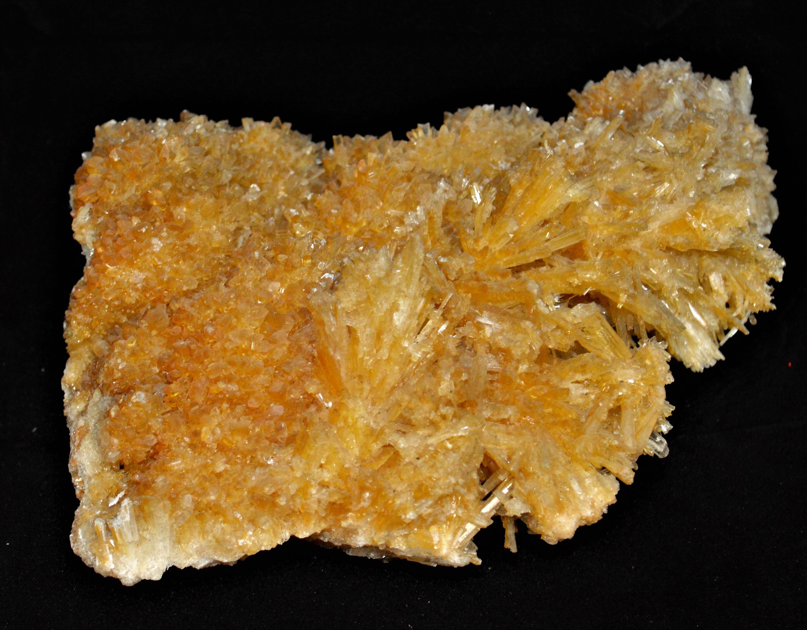 Braune Gipskristalle (Sangerhausen) (Erlebniswelt Museen e. V. CC BY-NC-SA)