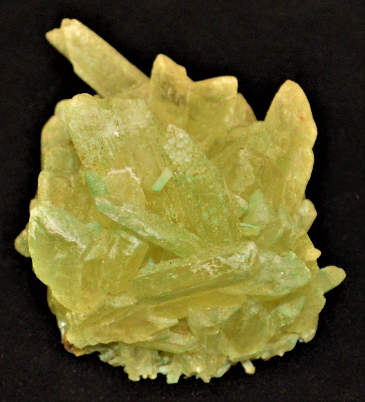 Grüne Gipskristalle (Sangerhausen) (Erlebniswelt Museen e. V. CC BY-NC-SA)