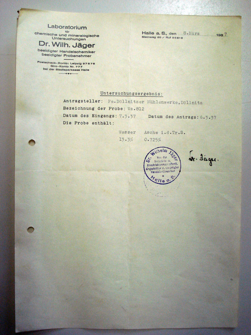Untersuchungsergebniss vom 8. März 1937 (Museum Petersberg CC BY-NC-SA)