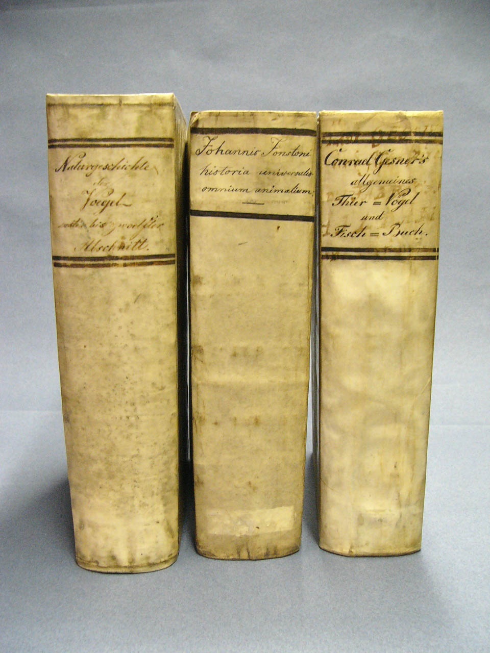 Drei Bücher der Bibliothek des Museum Heineanum (Museum Heineanum CC BY-NC-SA)