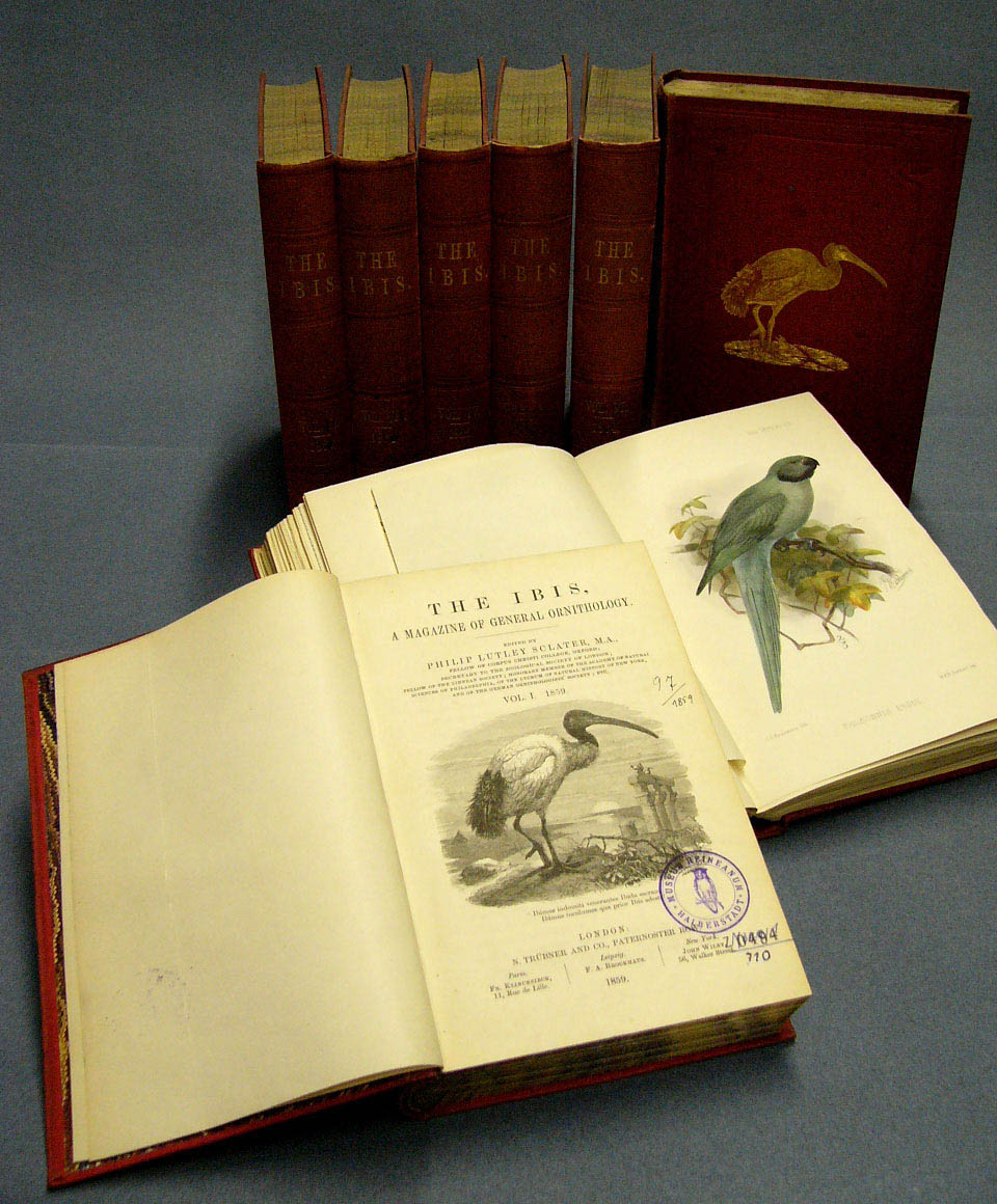 gebundene Jahresbände der ornithologischen Zeitschrift &quot;The Ibis&quot; (Museum Heineanum CC BY-NC-SA)